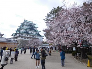 花見　名城公園